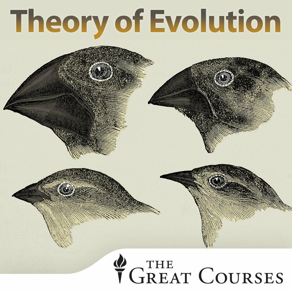 The Theory of Evolution: A History of Controversy [DVD] - Very Good