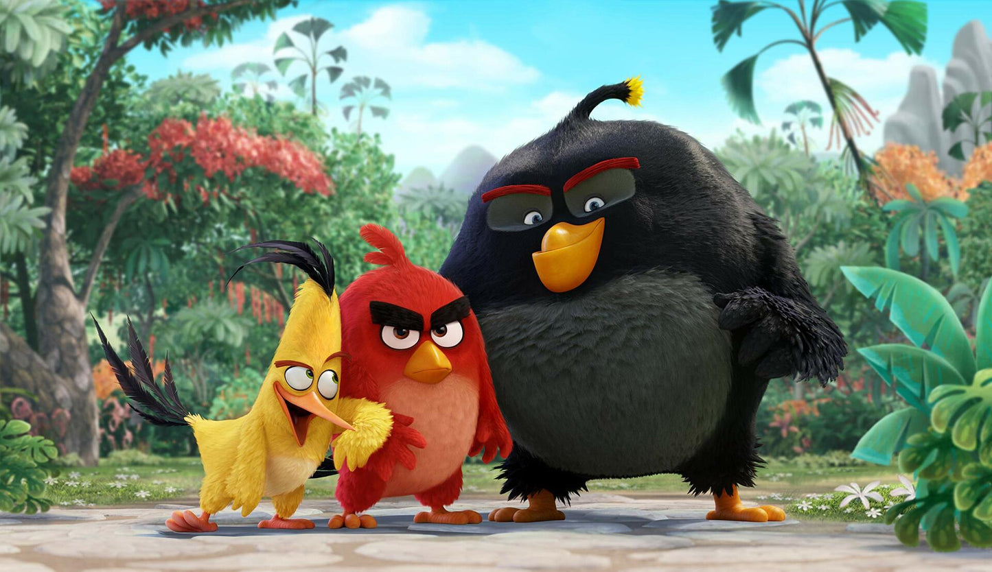 The Angry Birds Movie (Bilingual) [DVD] - Very Good