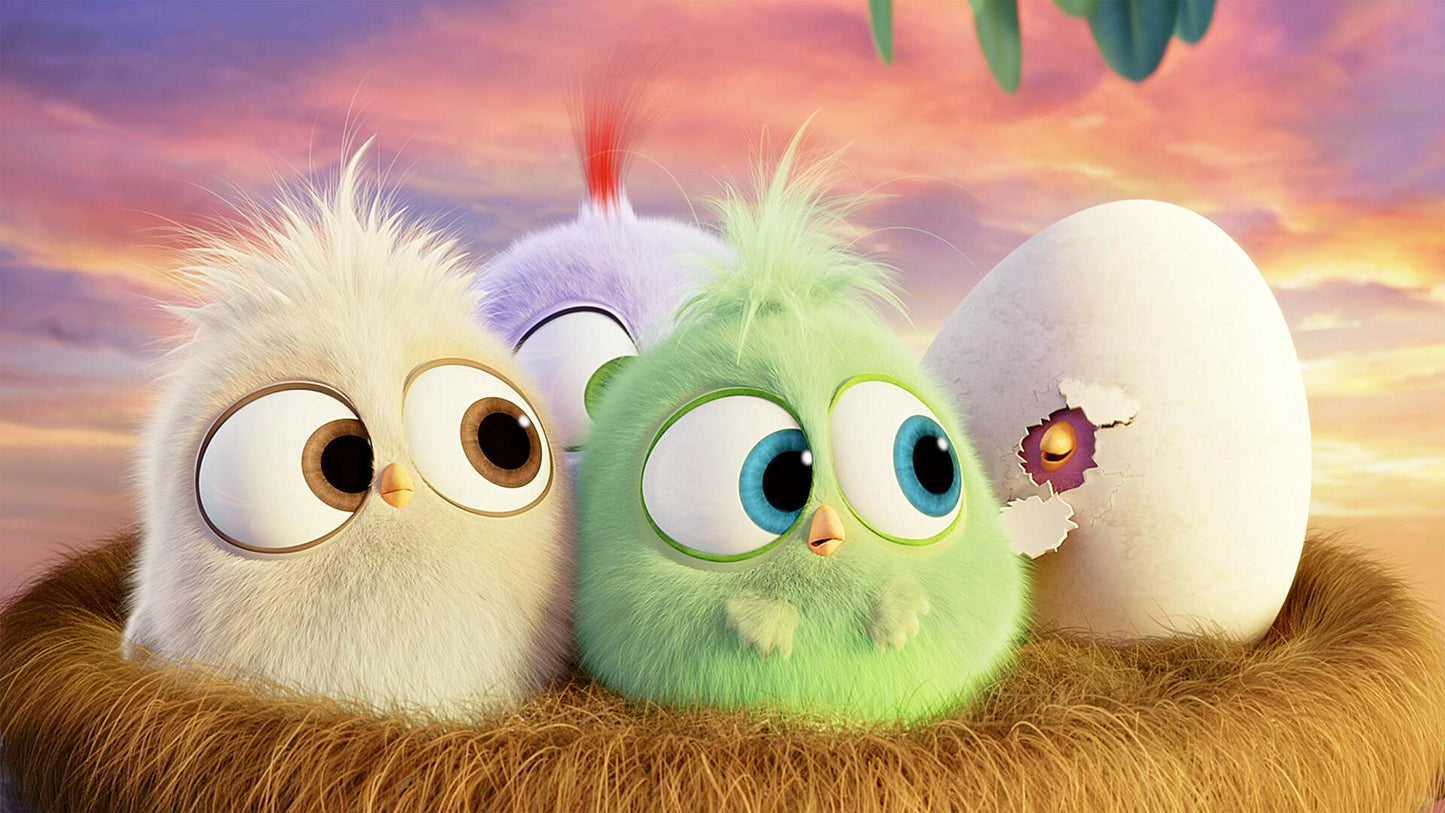 The Angry Birds Movie (Bilingual) [DVD] - Very Good