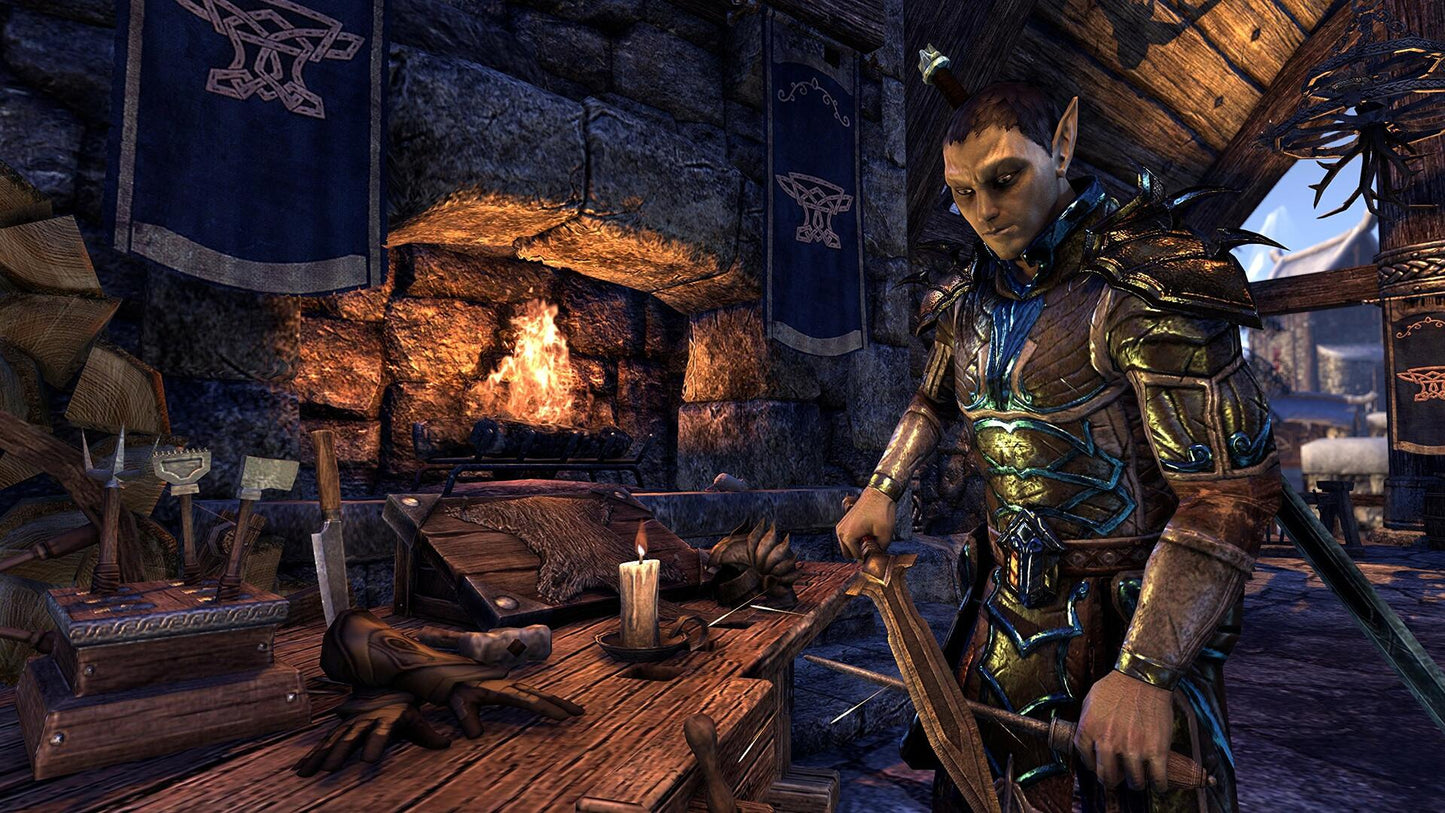 Bethesda PC Elder Scrolls Online Gold Edition [video game]