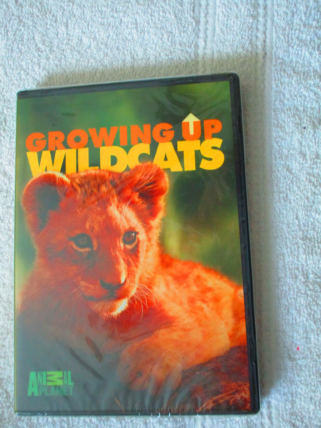 Animal Planet: Growing Up Wildcats [DVD] - Very Good