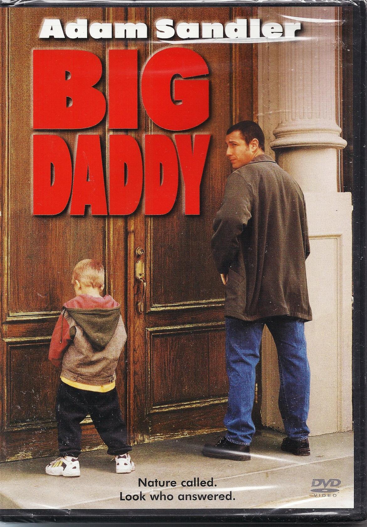 Big Daddy [DVD] - Very Good