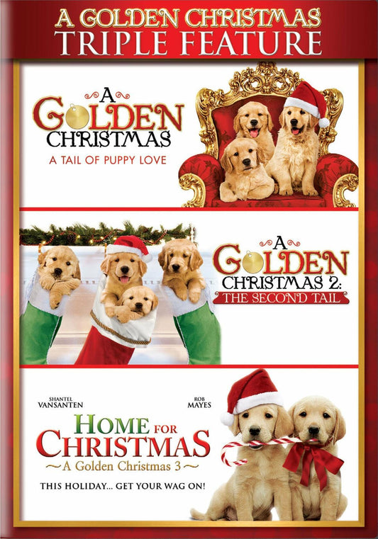 A Golden Christmas [DVD]