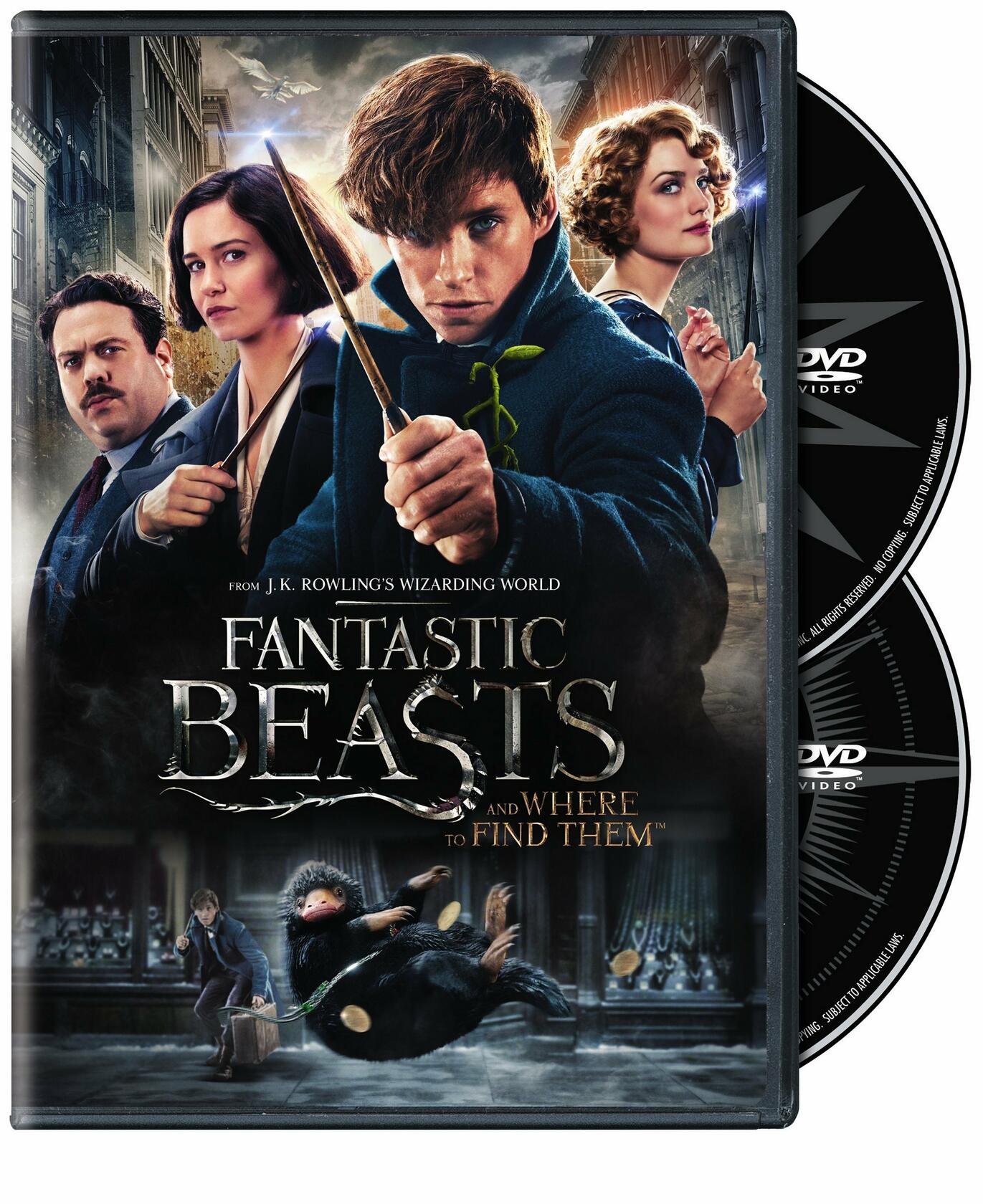 Fantastic Beasts and Where to Find Them (DVD) [DVD] - Very Good
