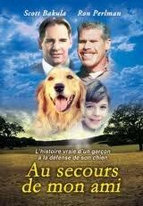 au secours de mon ami [DVD] - Very Good