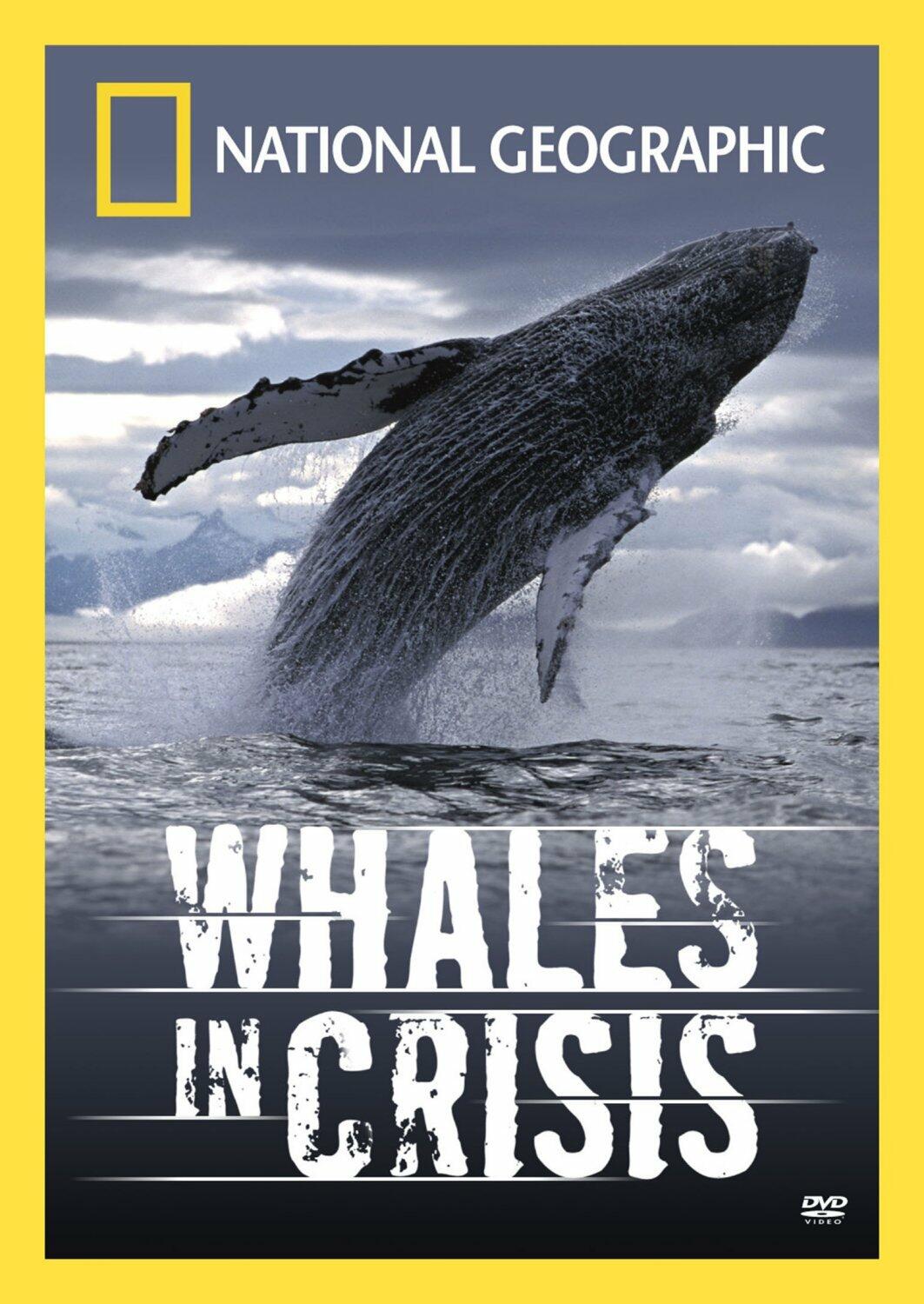 Whales In Crisis [DVD]