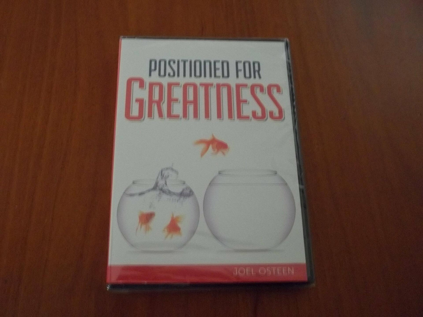 Positioned For Greatness [Unknown Binding]