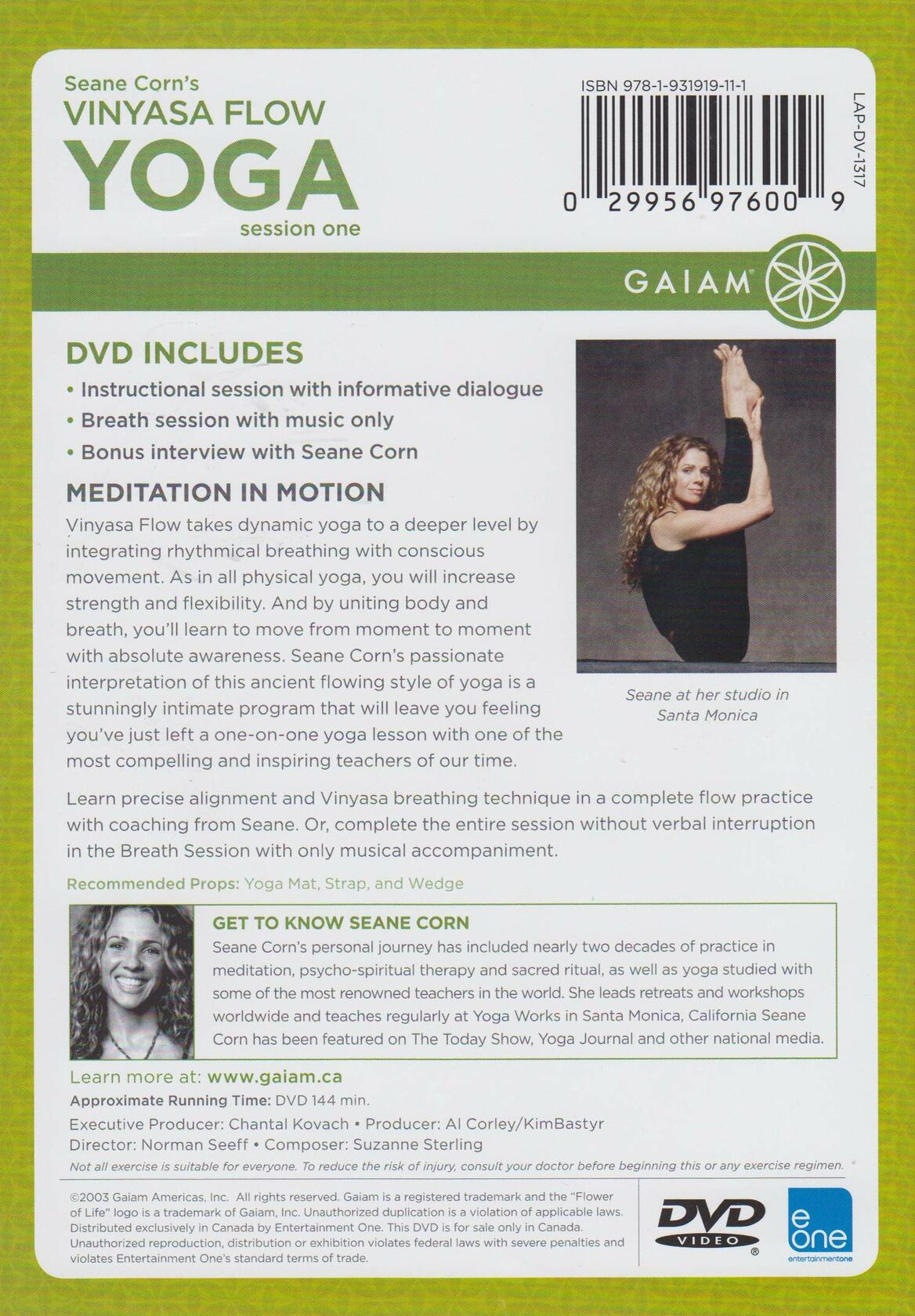 Seane Corn's: Vinyasa Flow Yoga - Session 1 [DVD] - Very Good