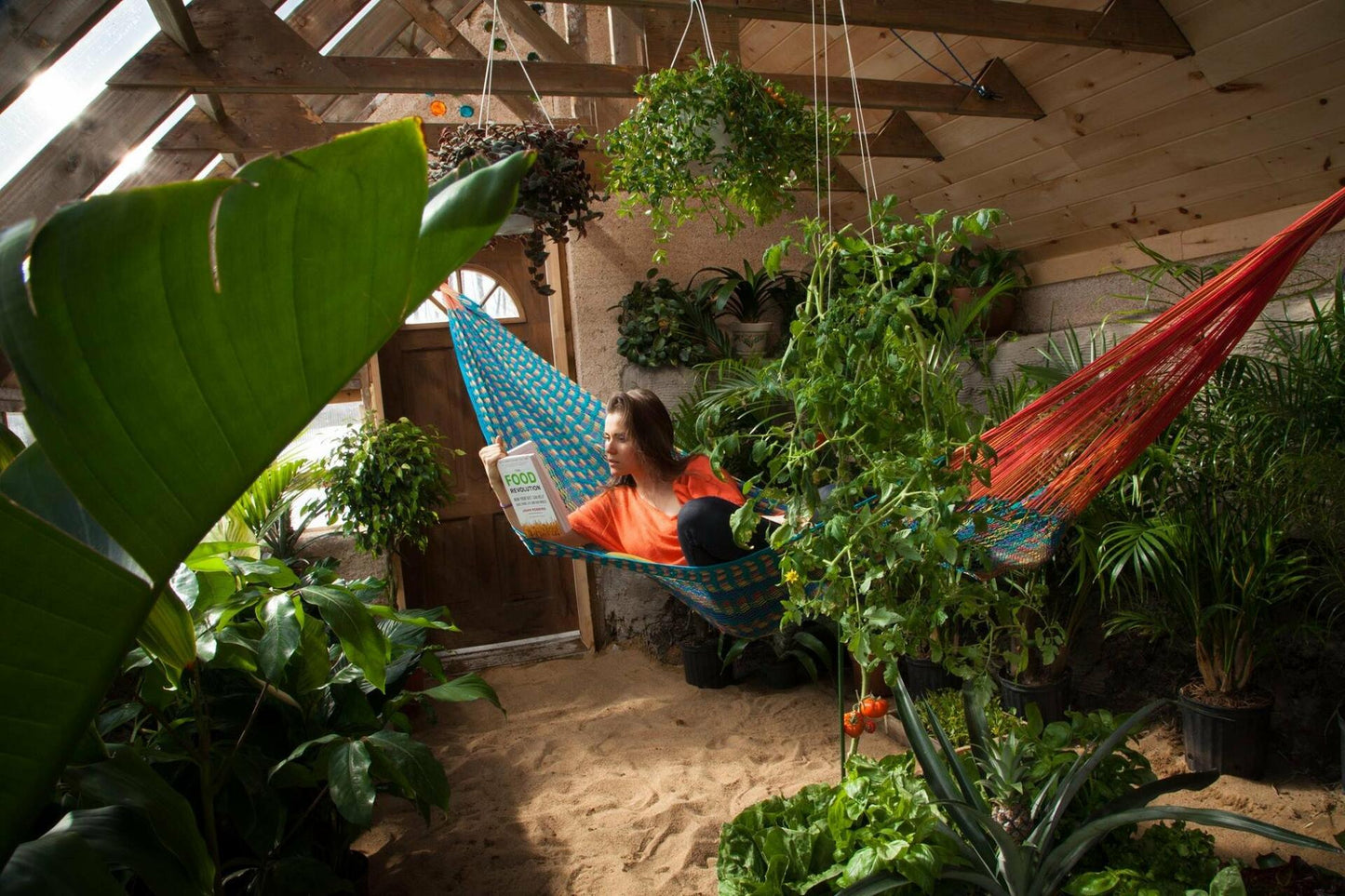 The Greenhouse of the Future - Abundance and Energy Autonomy (Bilingual DVD-EBOOK-PLANS) [DVD] - Very Good