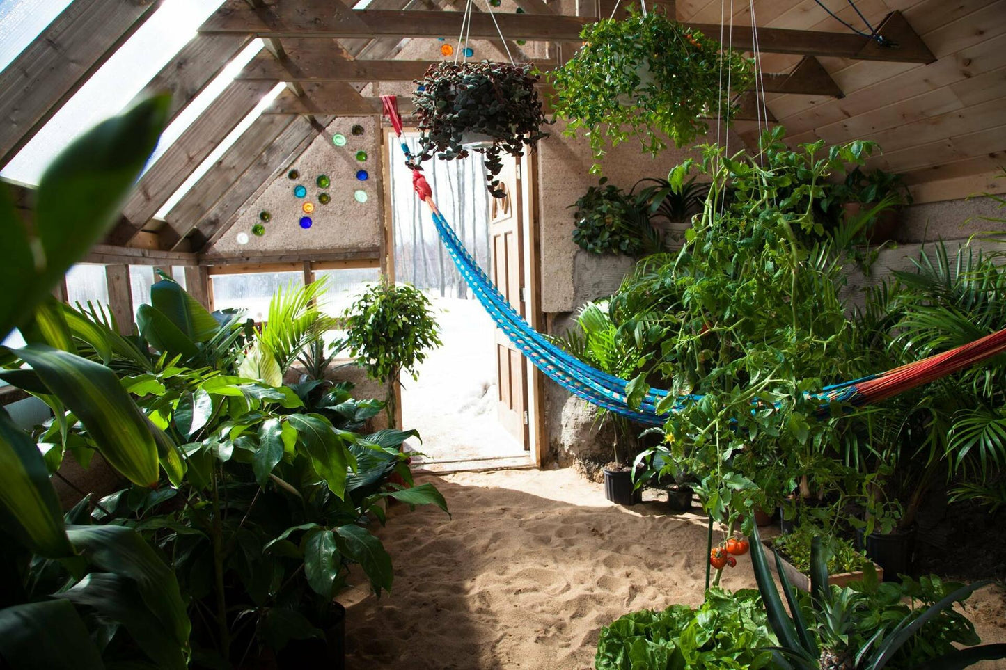 The Greenhouse of the Future - Abundance and Energy Autonomy (Bilingual DVD-EBOOK-PLANS) [DVD] - Very Good