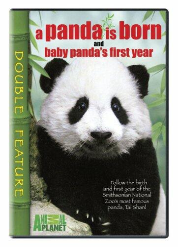 A Panda Is Born / Baby Panda's First Year [DVD]