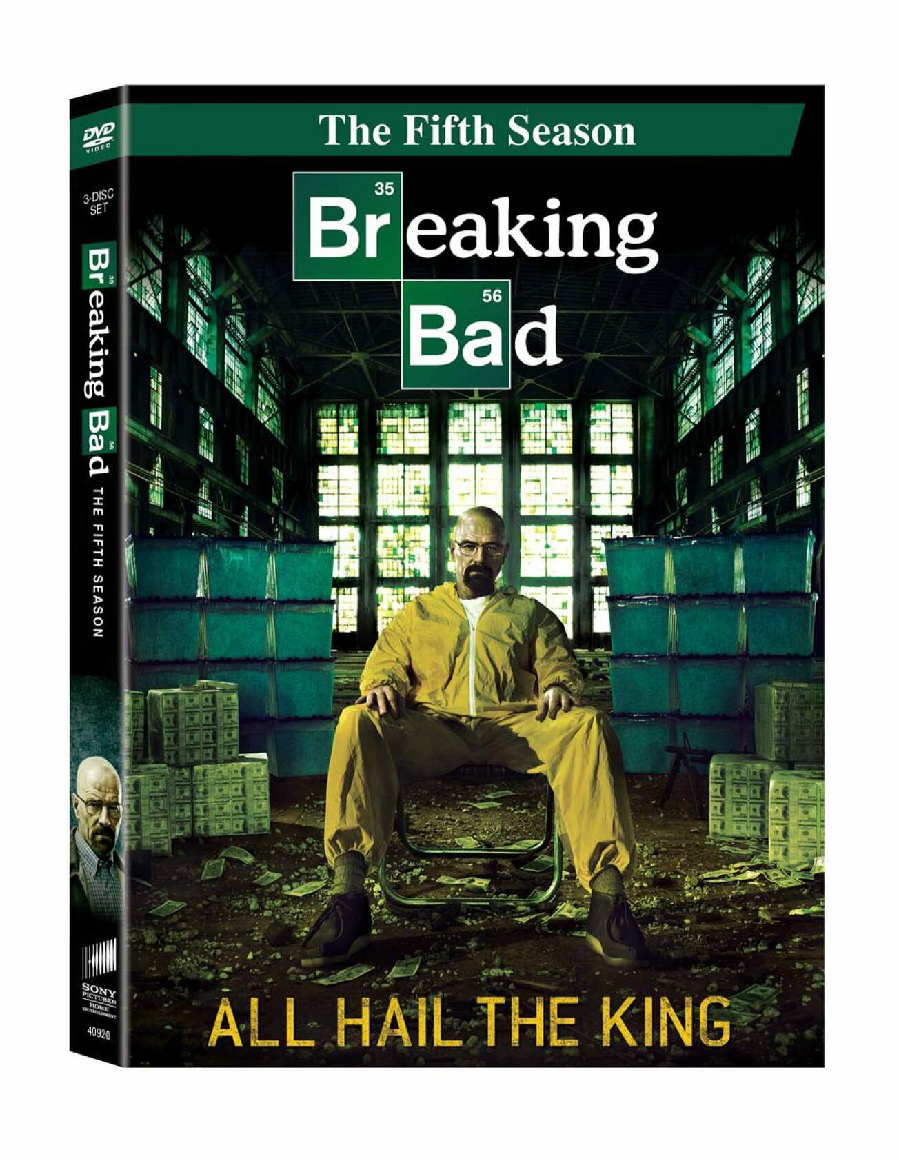 Breaking Bad: The Fifth Season [DVD] - Good