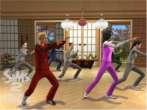 Les Sims 2: Bon Voyage (vf - French game-play) [video game] - Good