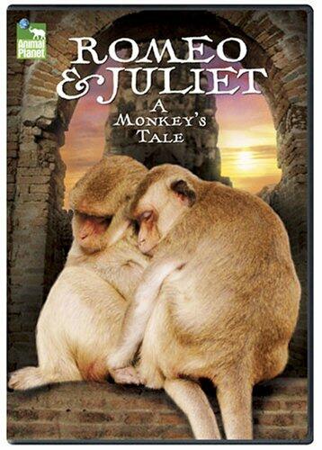 Romeo & Juliet: A Monkey's Tale [DVD] - Very Good