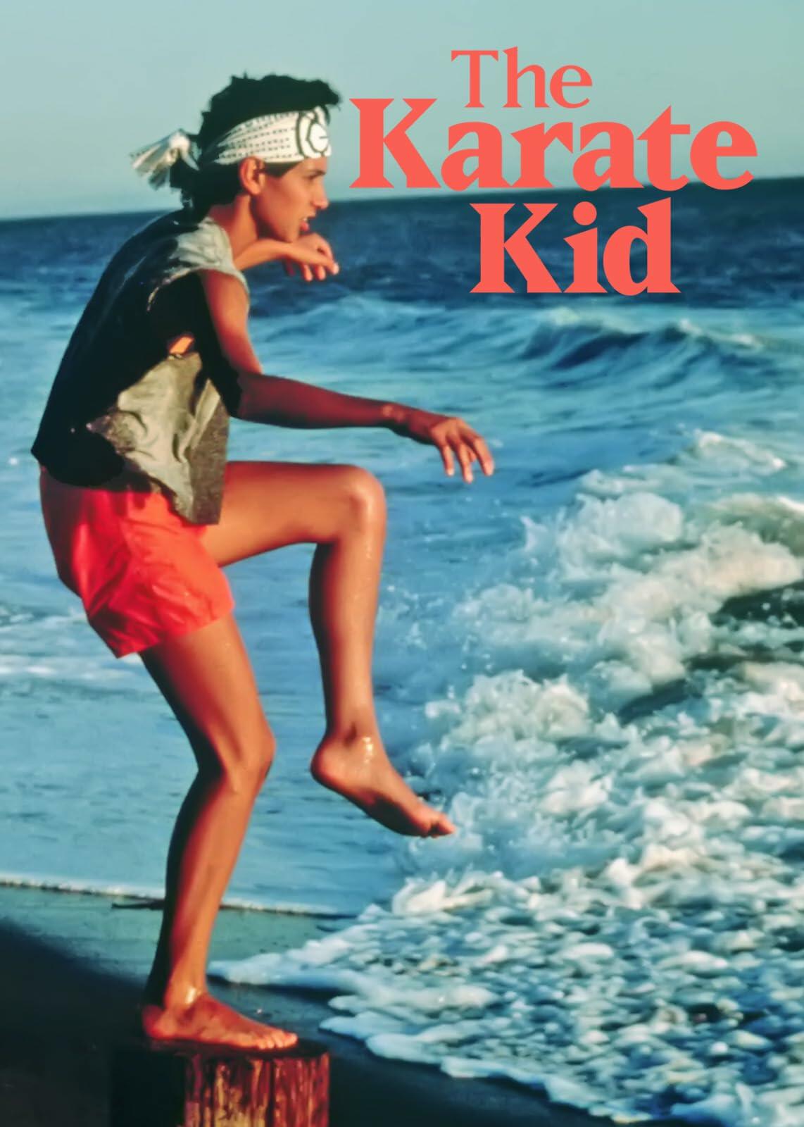 The Karate Kid (Special Edition) (Bilingual) [DVD] - Very Good