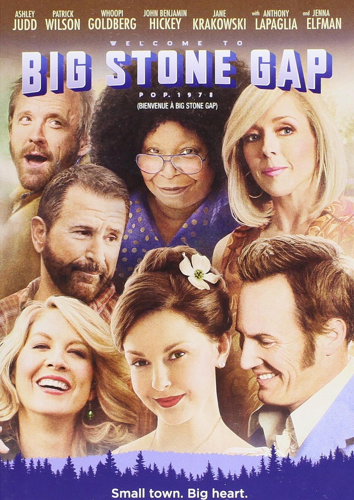 Big Stone Gap [DVD] - Very Good