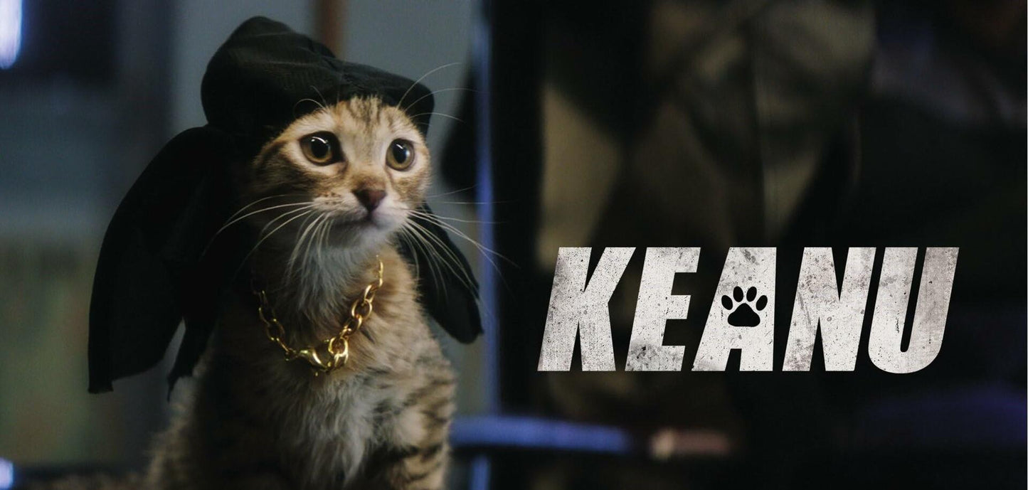 Keanu (Bilingual) [DVD]