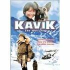 Kavik the Wolf Dog