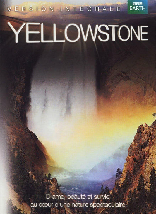 Yellowstone (Version française) - Good