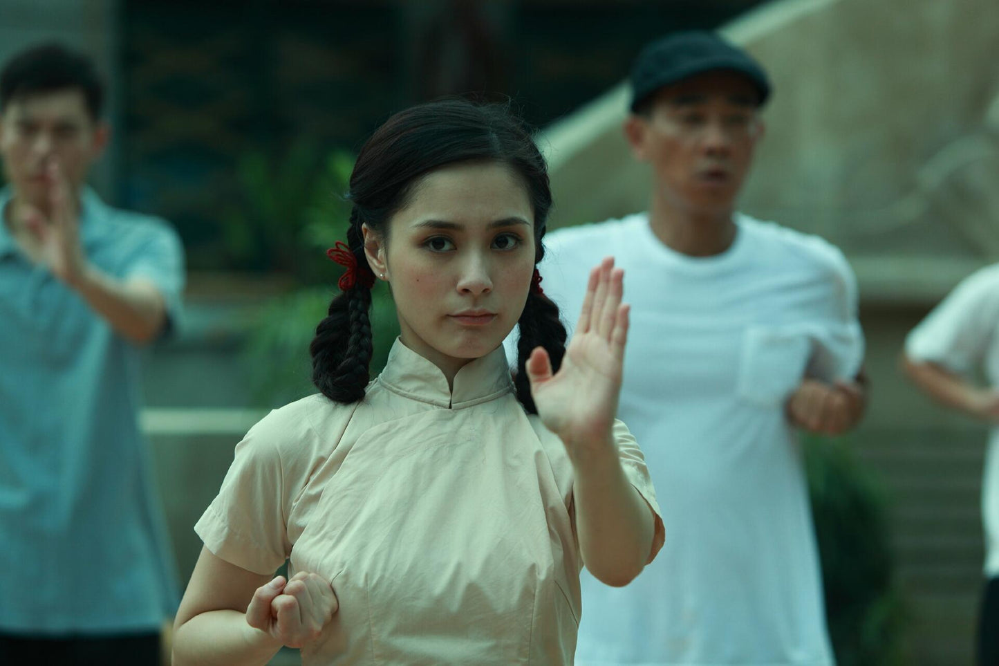 Ip Man: The Final Fight (2013)^Ip Man: The Final Fight [DVD] - Very Good