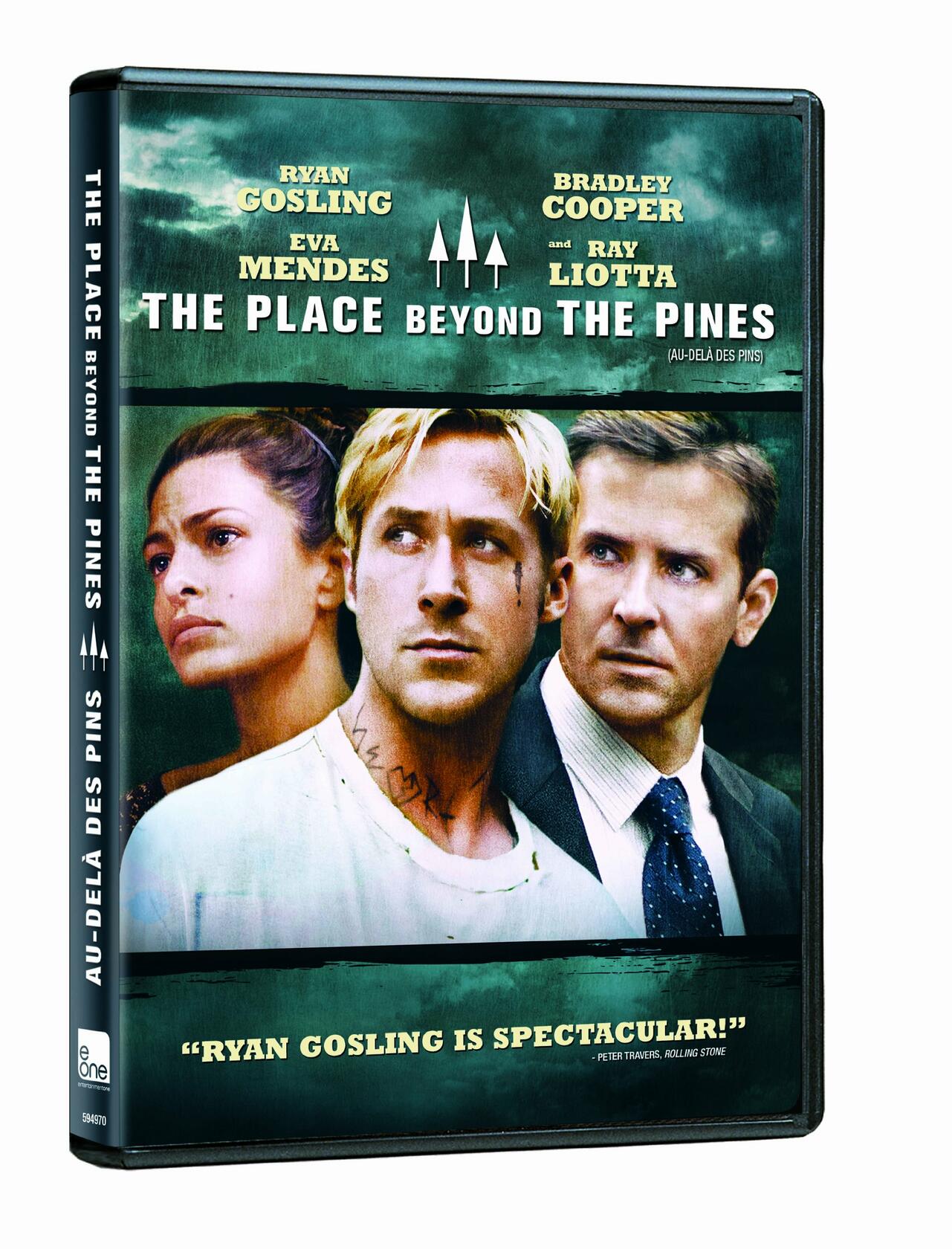 The Place Beyond the Pines [DVD]