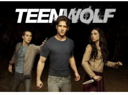 Teen Wolf: Season 2 [DVD] - Very Good