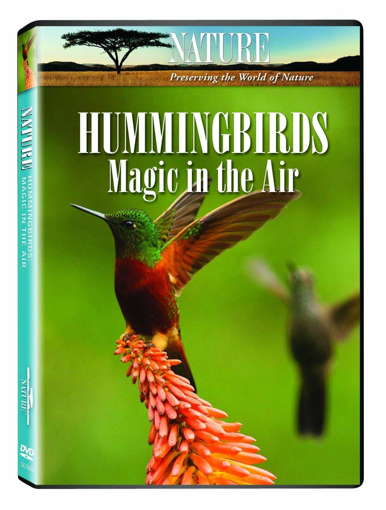 Nature: Hummingbirds - Magic in the Air [DVD] - Very Good