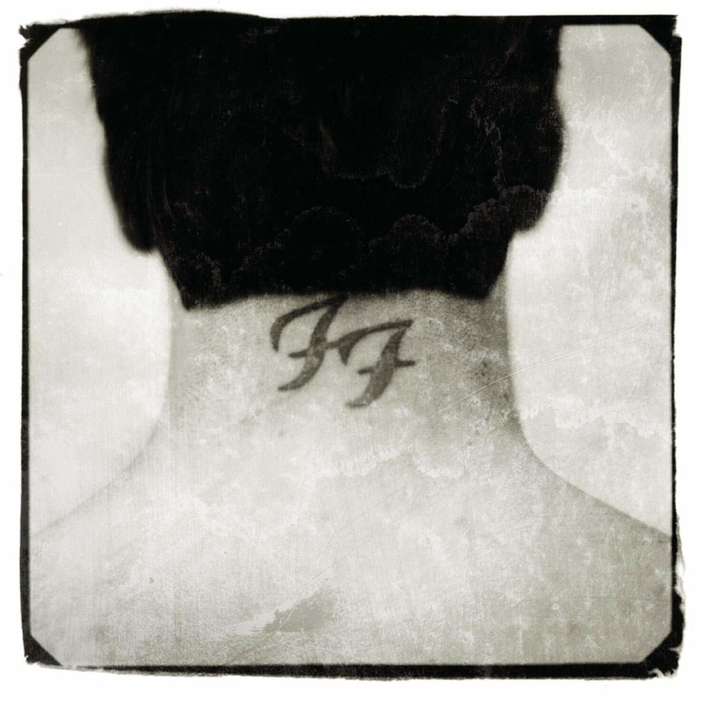 There Is Nothing Lef [Audio CD] Foo Fighters
