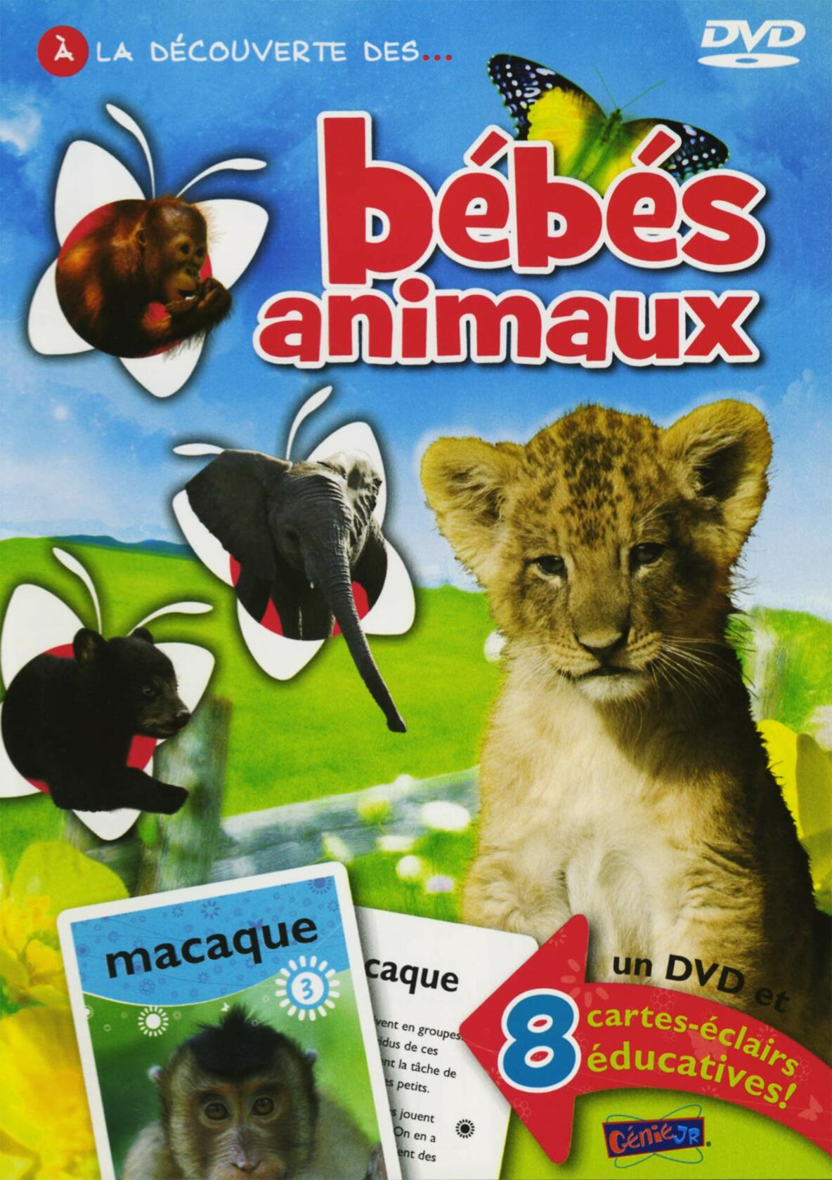 Bebes Animaux [DVD] - Very Good