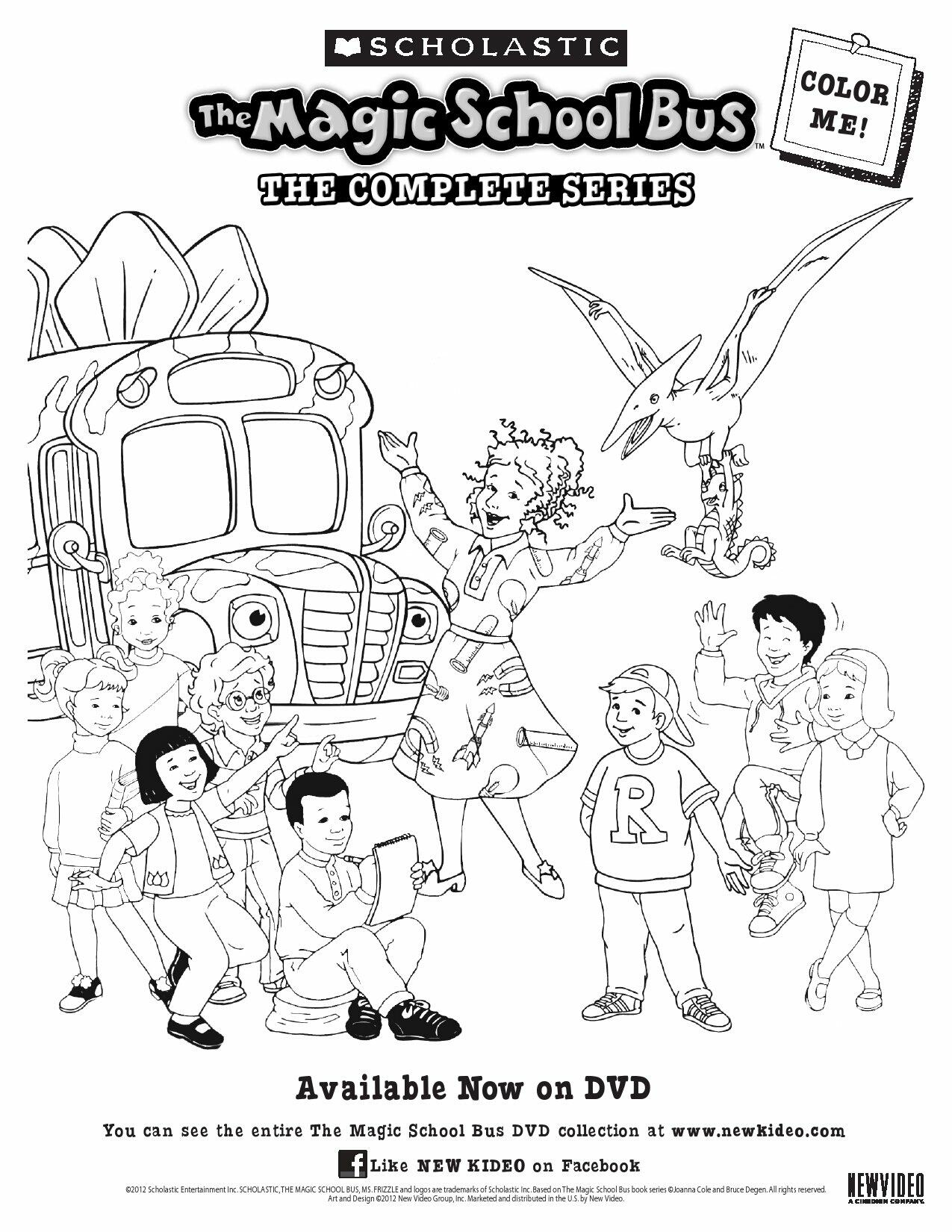 The Magic School Bus: Takes a Dive [DVD]