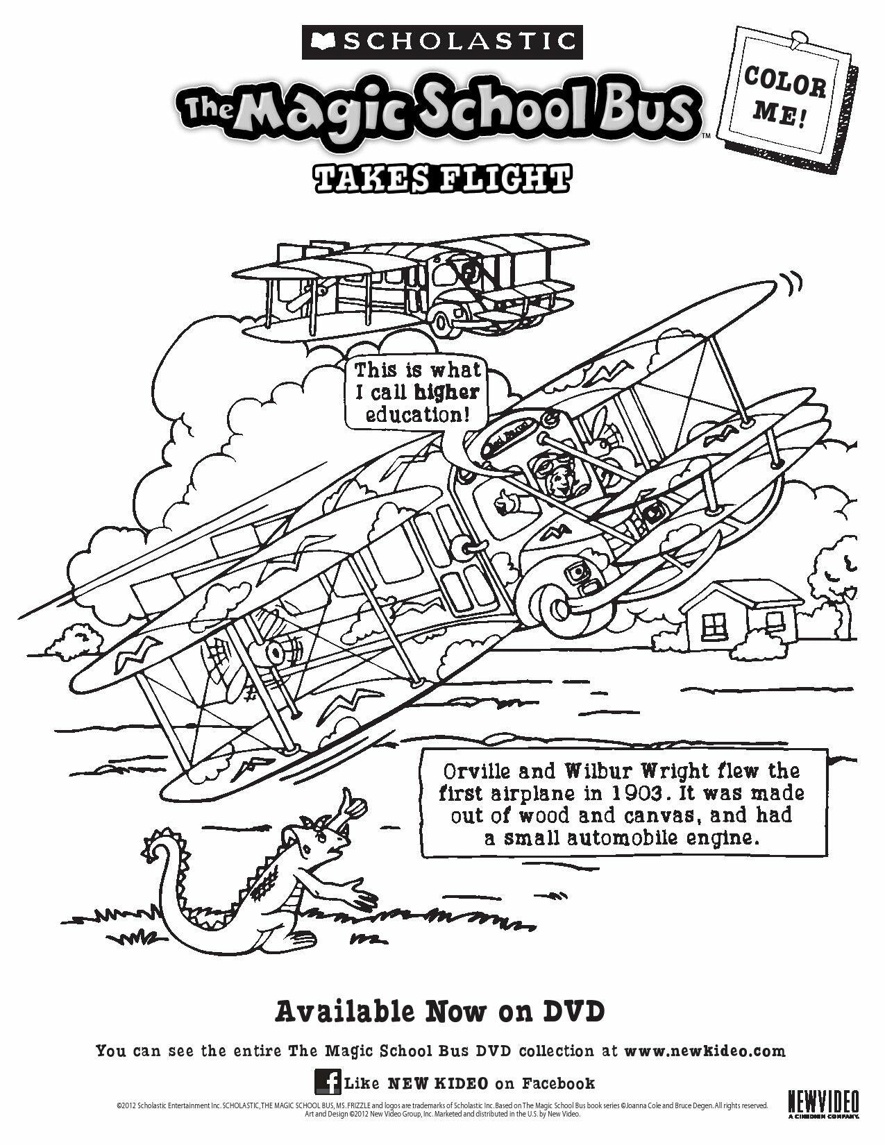 The Magic School Bus: Takes a Dive [DVD]