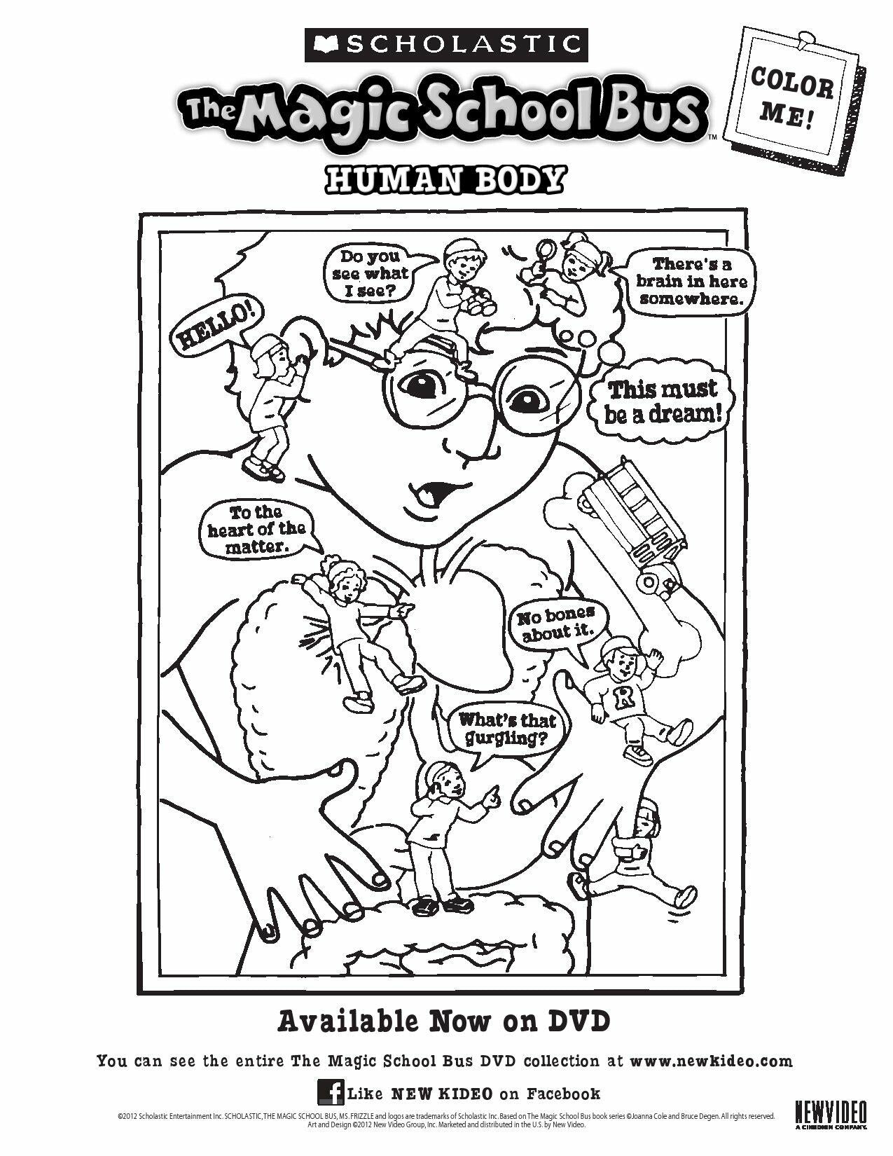 The Magic School Bus: Takes a Dive [DVD]