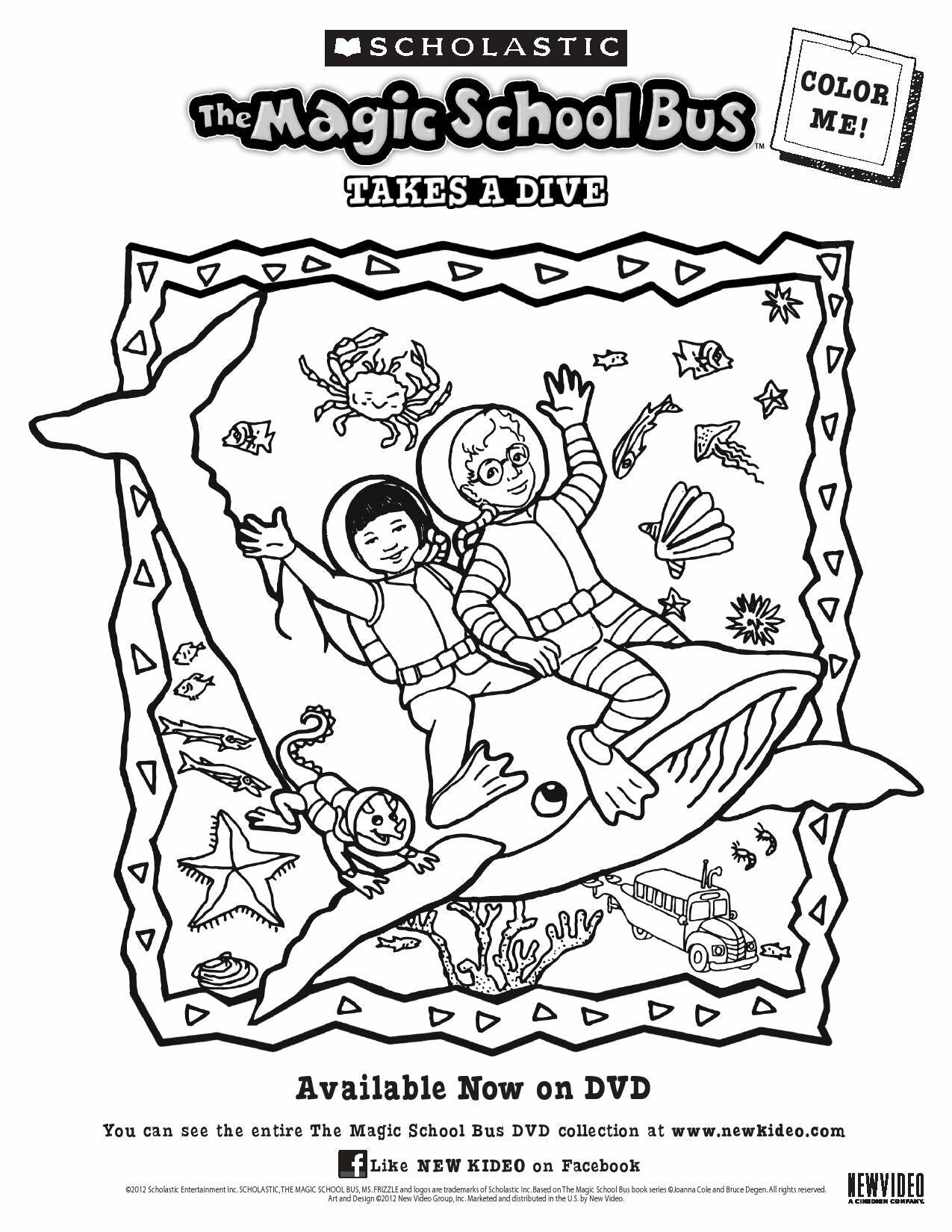 The Magic School Bus: Takes a Dive [DVD]