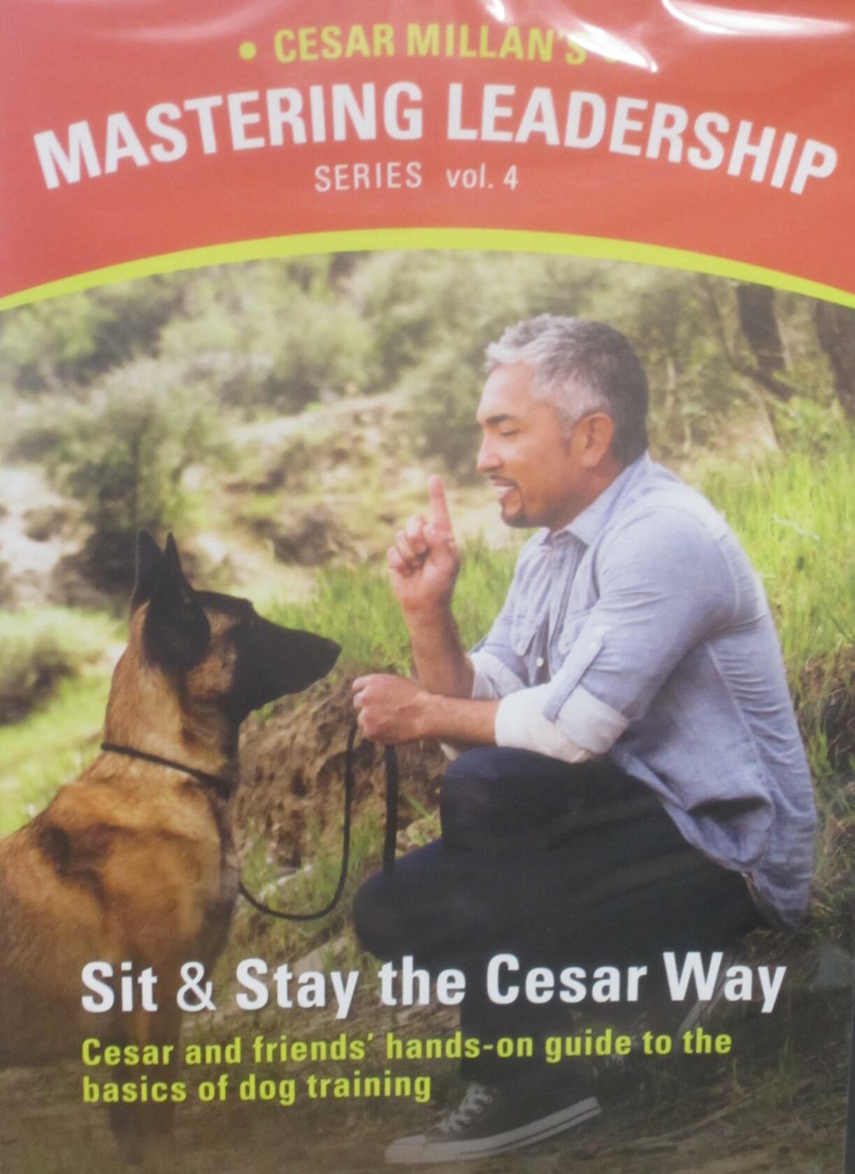 Cesar Millan's Sit and Stay the Cesar Way: Vol. 4 Mastering Leadership Series [DVD] - Good