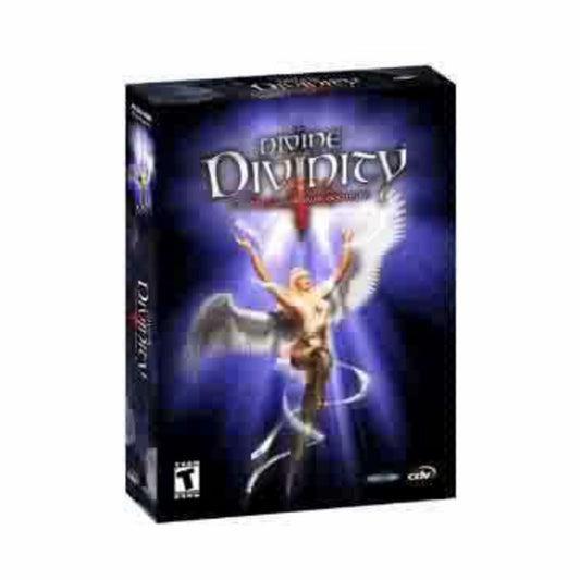 Divine Divinity [video game]