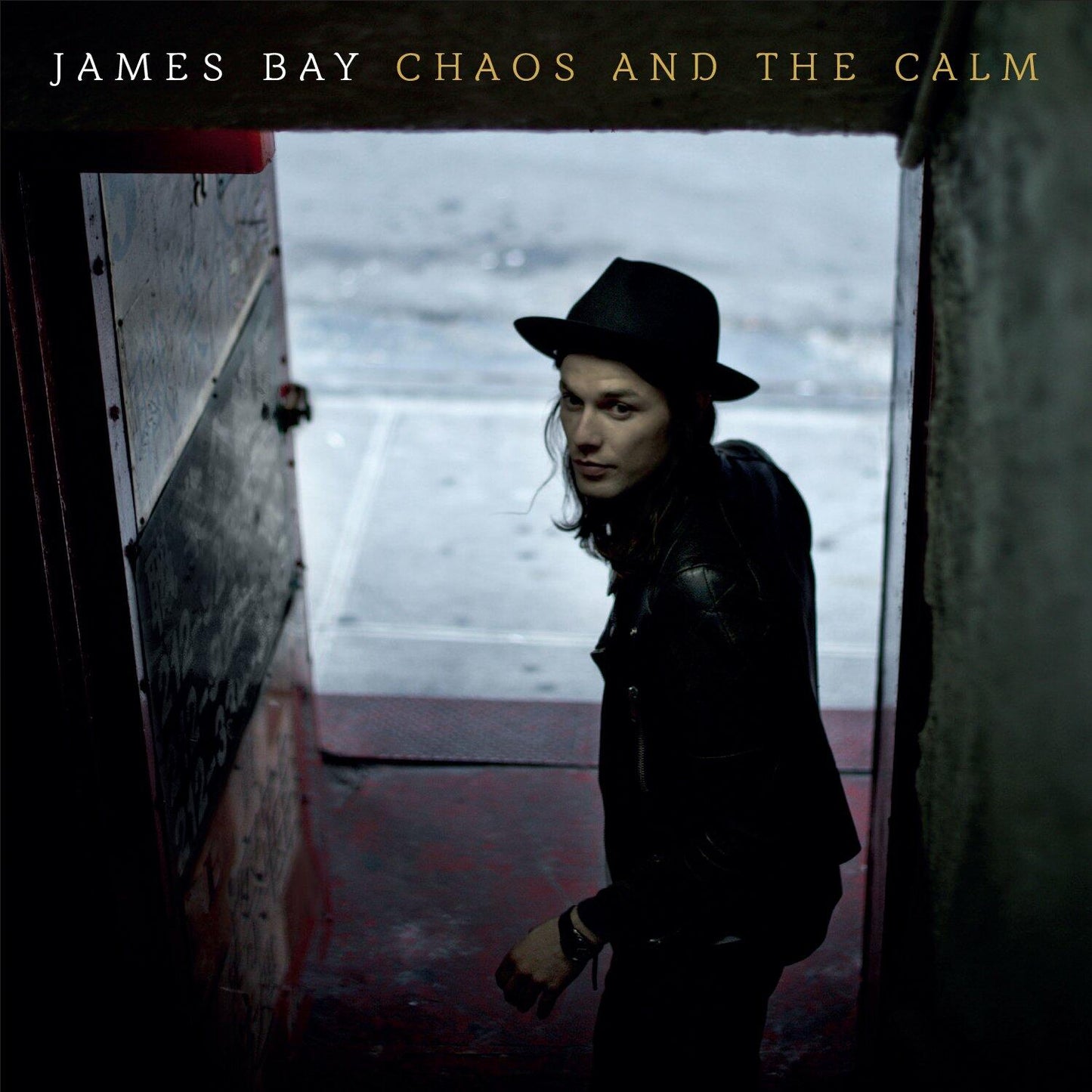 Chaos & The Calm [Audio CD] BAY,JAMES - Good