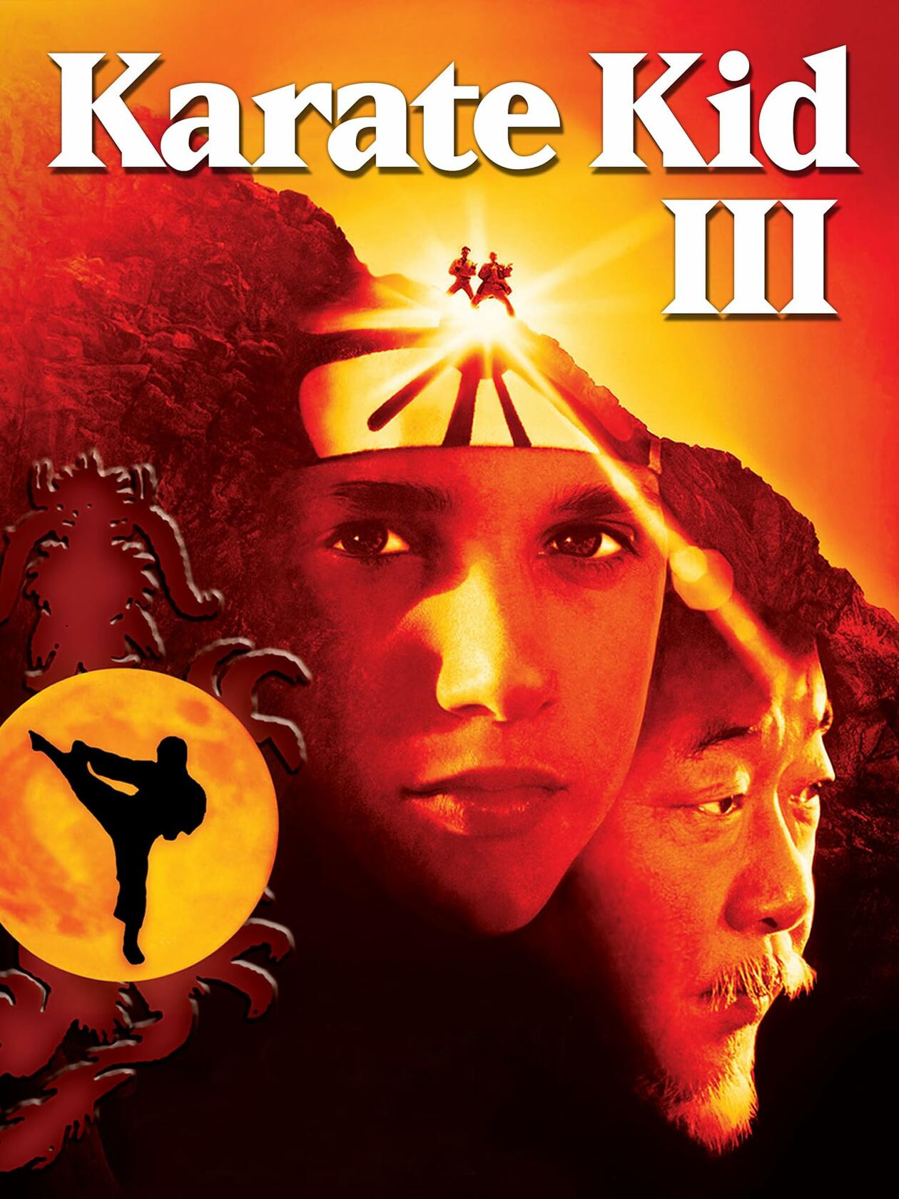 The Karate Kid III (Bilingual) [DVD] - Very Good