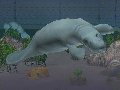 Fr Zoo Tycoon2: Marine Mania Win32 DVD Case CD [video game] - Very Good