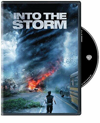 Into the Storm (DVD) [DVD] - Good