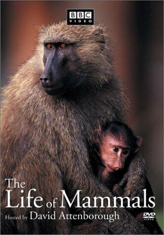 The Life of Mammals, Vol. 4 [Import] [DVD] - Very Good