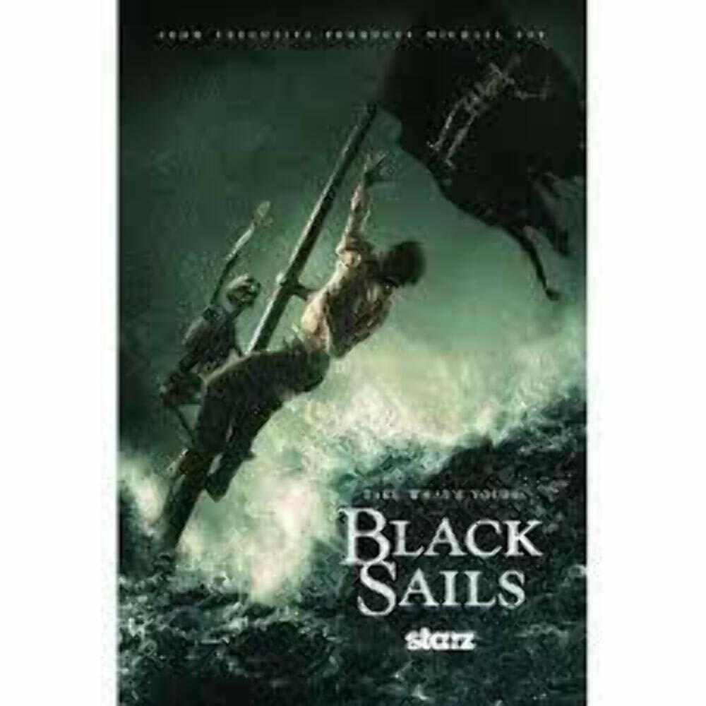 Black Sails: The Complete Second Season [DVD] - Good