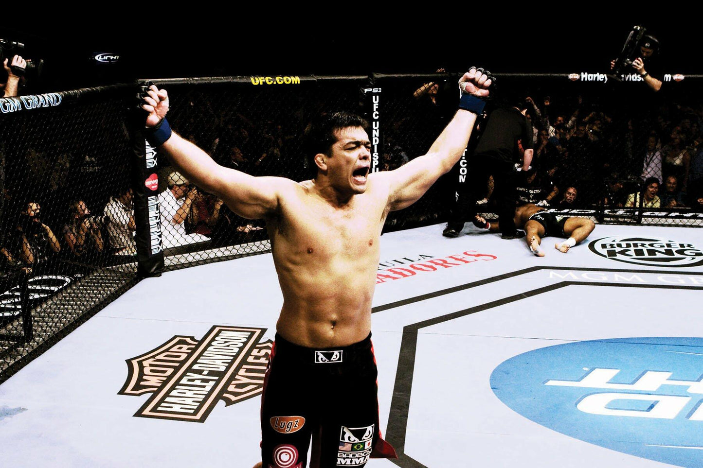 Ufc: Ultimate Knockout 8 [DVD] - Very Good