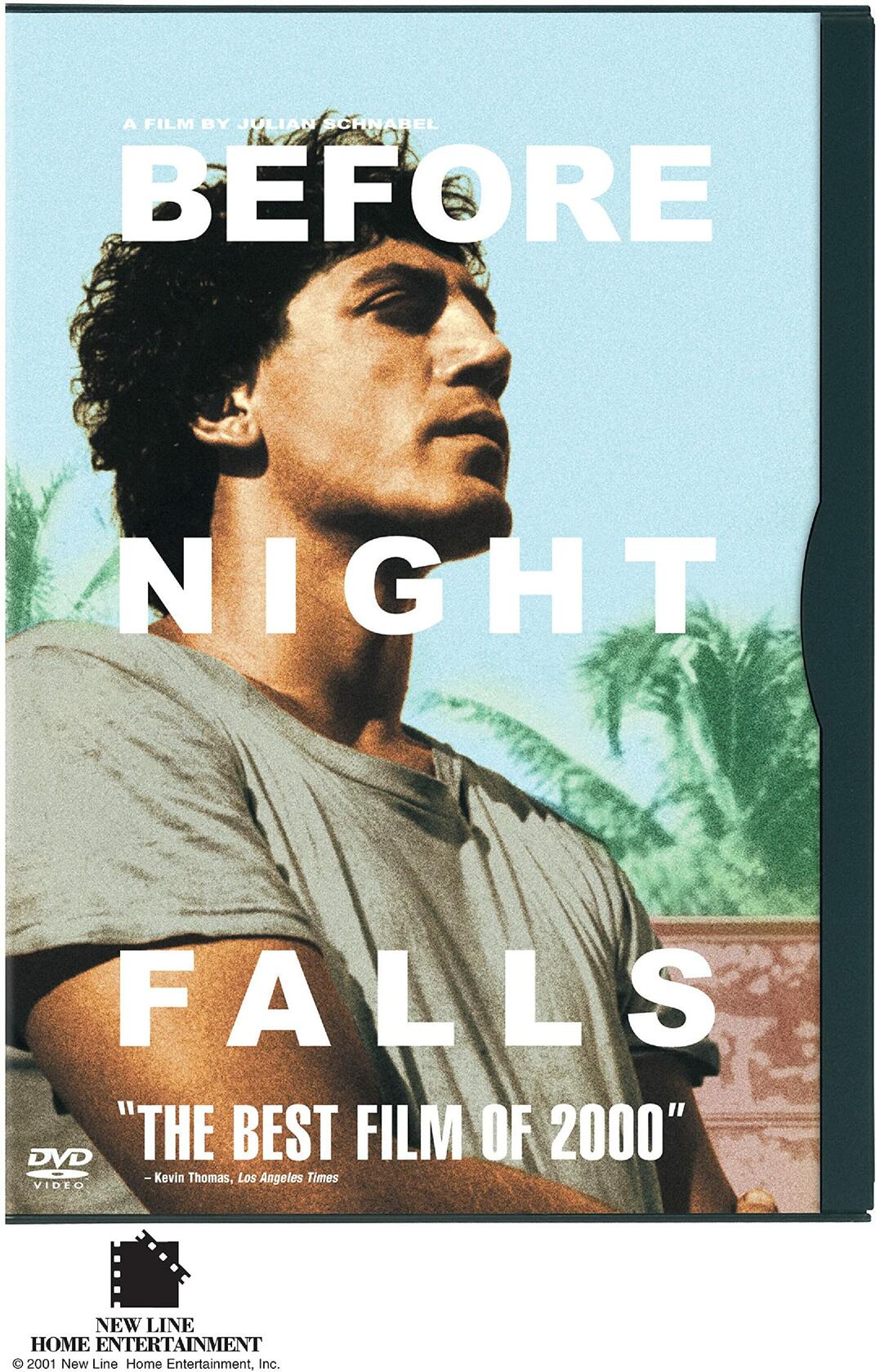 Before Night Falls (Widescreen) [DVD] - Very Good