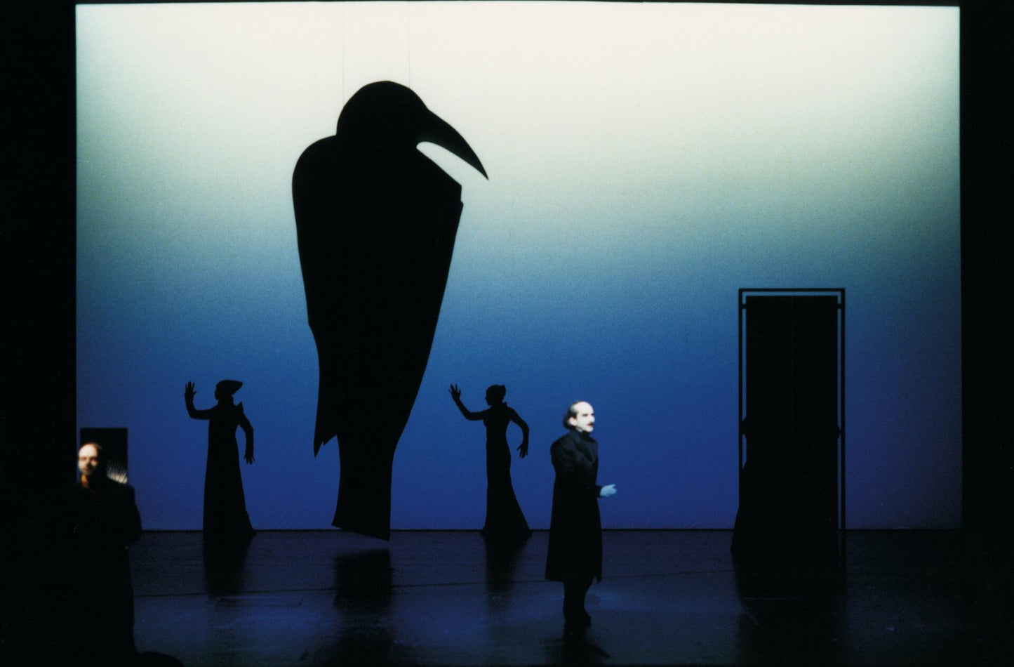 Absolute Wilson [DVD] - Very Good