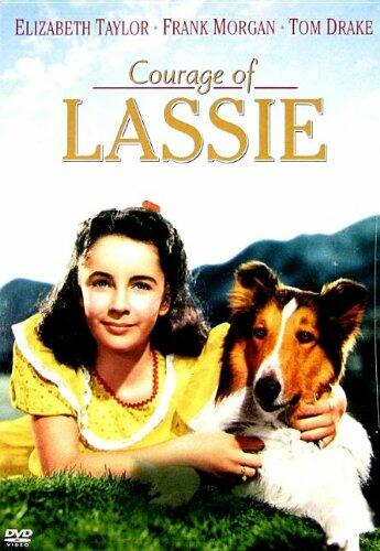 Courage of Lassie [DVD] - Very Good