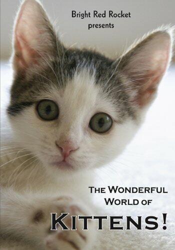 The Wonderful World of Kittens [DVD] - Very Good
