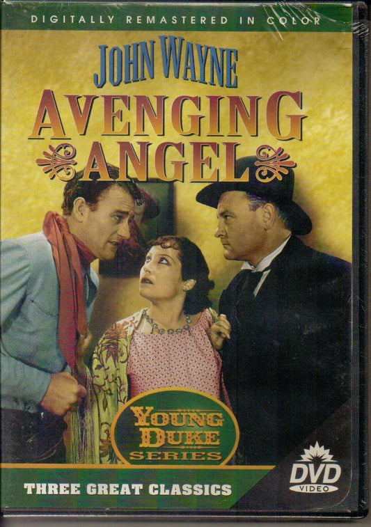 Avenging Angel [DVD] - Very Good