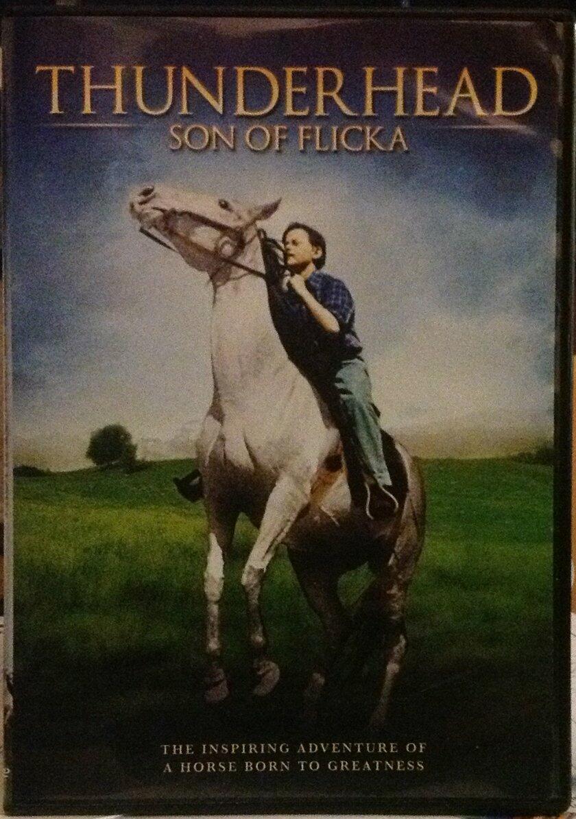 Thunderhead: Son Of Flicka '45 [DVD] - Very Good