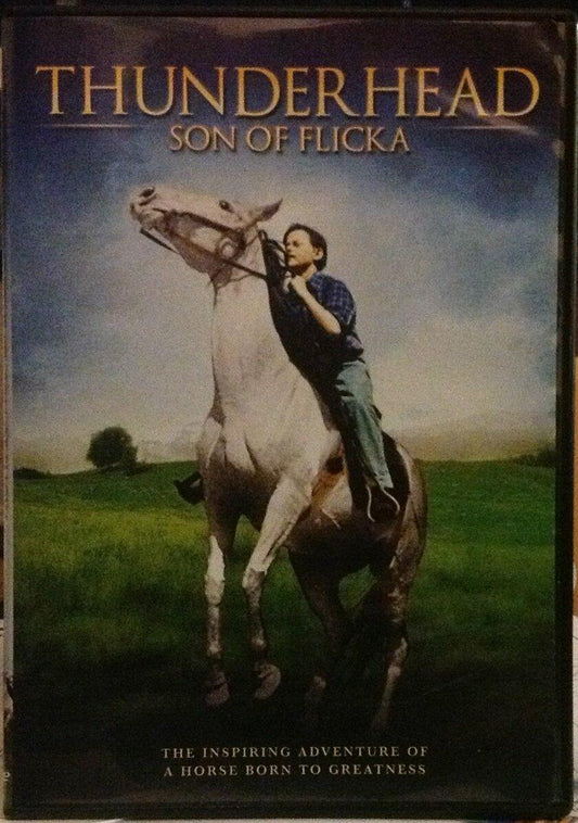 Thunderhead: Son Of Flicka '45 [DVD] - Very Good