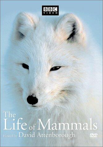 The Life of Mammals, Vol. 2 [Import] [DVD] - Very Good